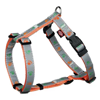 Rogz helmet light. For CP. Dogs 45-75 cm gray with orange ornament
Rogz helmet light. For CP. Dogs 45-75 cm gray with orange ornament