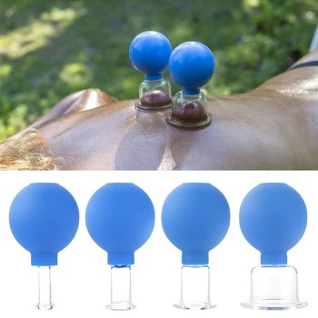 1 Set Rubber Vacuum Cupping Chineses Cupping Glasses Massage Cups Body Vacuum Cans Therapy Set Health Care Family Massager
1 Set Rubber Vacuum Cupping Chineses Cupping Glasses Massage Cups Body Vacuum Cans Therapy Set Health Care Family Massager