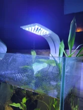 Aquarium-Lights Aquatic-Freshwater-Lamps Fish-Tanks Led-Plants Clip-On-Lamp Waterproof