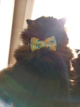 Pajarita elástica de seguridad con cascabel para perros y gatos pequeños, Collar seguro con patrón de baya, productos para mascotas, Collar para perros, suministros para mascotas