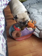 1pc peluche perro hueso juguetes mordedura-resistente limpia perro masticar cachorro juguete de entrenamiento de Banana y zanahoria vegetal, suministros para mascotas