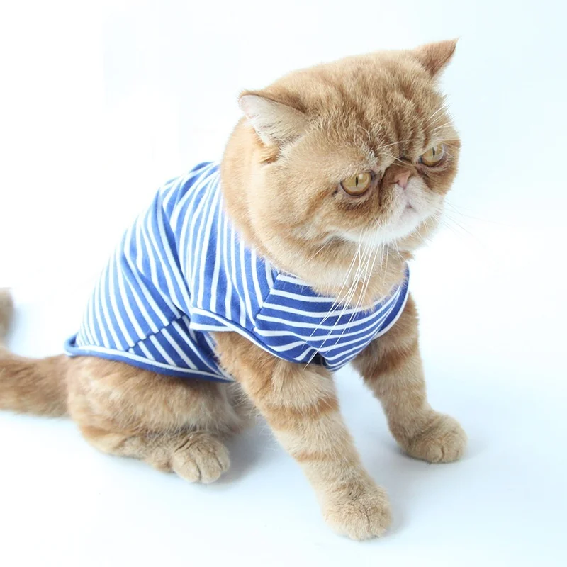 Pet clothes, cat clothes for kitten , pet cat striped shirts, Plaid kitten T-shirts coat for kitten in Autumn and winter
Pet clothes, cat clothes for kitten , pet cat striped shirts, Plaid kitten T-shirts coat for kitten in Autumn and winter