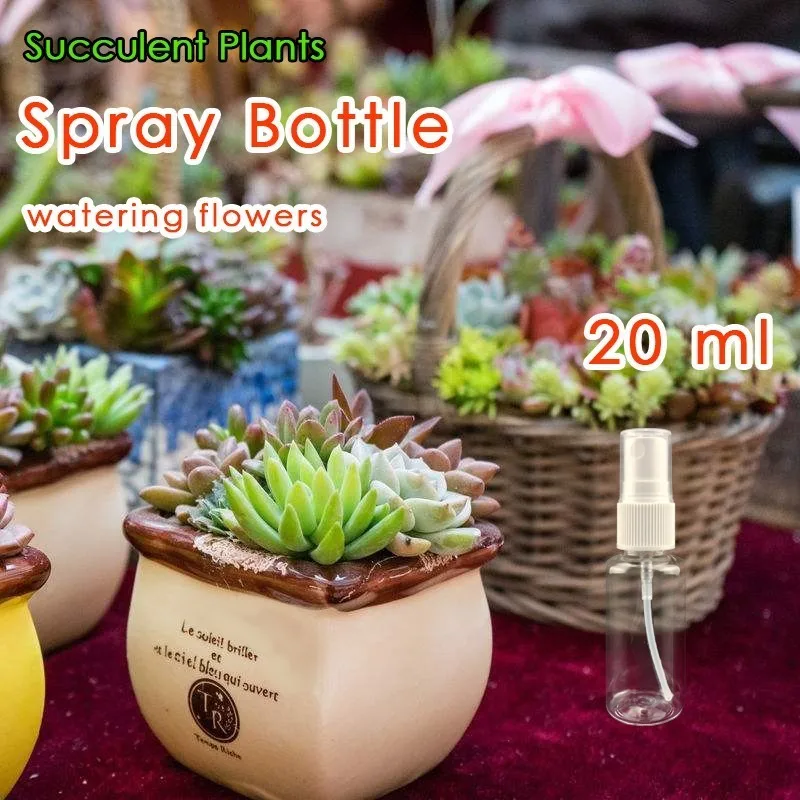 1 Pcs Mini Spray Bottle 20ml Small Plastic Transparent Sprayers Watering Device For Succulents Add Moisture Garden Flowers
1 Pcs Mini Spray Bottle 20ml Small Plastic Transparent Sprayers Watering Device For Succulents Add Moisture Garden Flowers