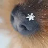 Лого пользователя O***d