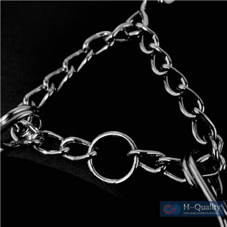 prong collar