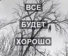 Лого пользователя N***V