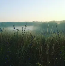 Лого пользователя S***a