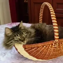 Лого пользователя A***a