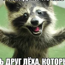 Лого пользователя A***u