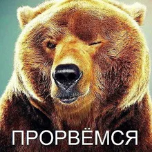 Лого пользователя S***v