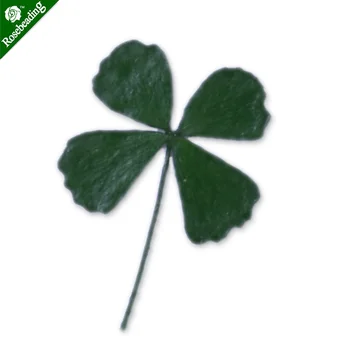 12pcs 10mm Dried Real Pressed Flower Stickers,natural dried flowers,Four Leaf Clover-10074631
12pcs 10mm Dried Real Pressed Flower Stickers,natural dried flowers,Four Leaf Clover-10074631