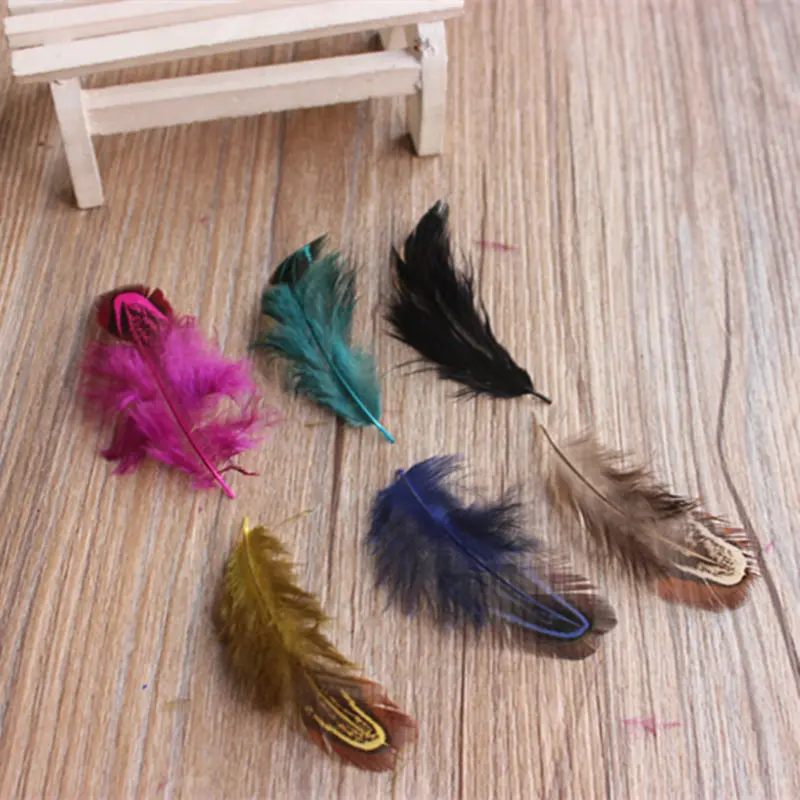 Retail 50 pcs 4-8cm Rare Precious Party Decorative Multi-colour Pheasant Plume Feather Natural Feathers for Home Decor
Retail 50 pcs 4-8cm Rare Precious Party Decorative Multi-colour Pheasant Plume Feather Natural Feathers for Home Decor