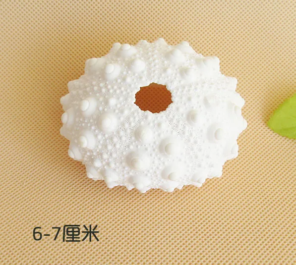 020841 Conch shells on the wall stick platform sea pearl sea urchin 6-7 cm style decoration
020841 Conch shells on the wall stick platform sea pearl sea urchin 6-7 cm style decoration