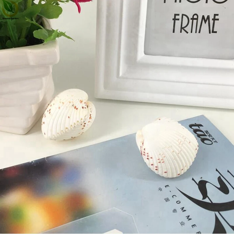 2pcs 4-5CM Cardiomorpha Spondylus Fragum Reeve Aquarium landscape Supplies Home Decor Decoration Crafts Natural Crafts
2pcs 4-5CM Cardiomorpha Spondylus Fragum Reeve Aquarium landscape Supplies Home Decor Decoration Crafts Natural Crafts