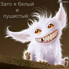 Лого пользователя A***n