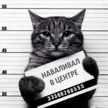 Лого пользователя I***v