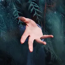 Лого пользователя P***a