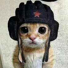 E***v