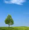 Лого пользователя T***n