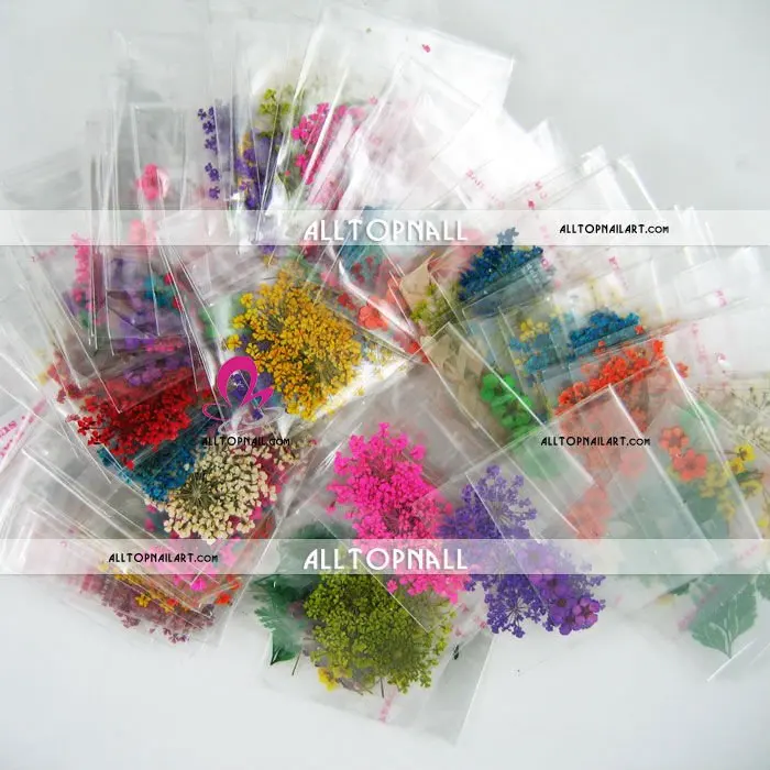 3D Natural Dry Nail Art Flower IMG_6818.jpg