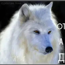 Лого пользователя z***a