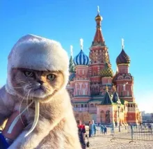 Лого пользователя A***a