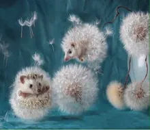Лого пользователя n***a