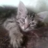Лого пользователя E***a