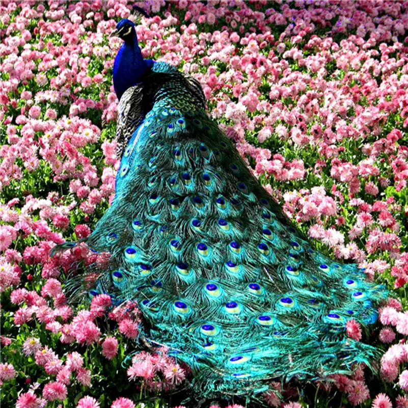 Diy 5D Diamond Embroidery Blue Peacock Diamond Painting Full Square Drill Diamond Kits For Embroidery Flowers Cross-Stitch Decor
Diy 5D Diamond Embroidery Blue Peacock Diamond Painting Full Square Drill Diamond Kits For Embroidery Flowers Cross-Stitch Decor
