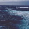 Лого пользователя M***a