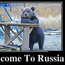 Лого пользователя M***y