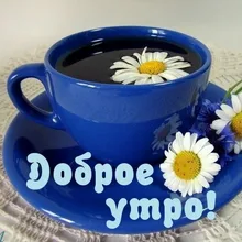 Лого пользователя i***a