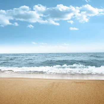 Baby Portraits Photography Backdrop,Newborn Photo Background for studio,Custom seaside beach photoshoot backdrop D-7966
Baby Portraits Photography Backdrop,Newborn Photo Background for studio,Custom seaside beach photoshoot backdrop D-7966