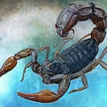 Лого пользователя O***n