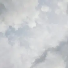 A***s