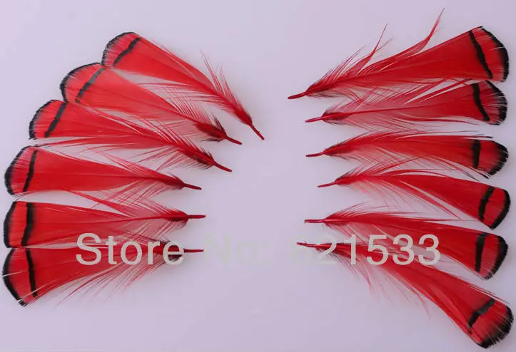 100Pcs/lot,Lady Amherst Feathers, Natural Red Exotic Craft Pheasant Feathers, 5-9cm,Small Feathers
100Pcs/lot,Lady Amherst Feathers, Natural Red Exotic Craft Pheasant Feathers, 5-9cm,Small Feathers