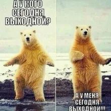 Лого пользователя W***o