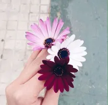 Лого пользователя m***a