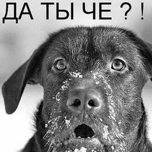 Лого пользователя I***v