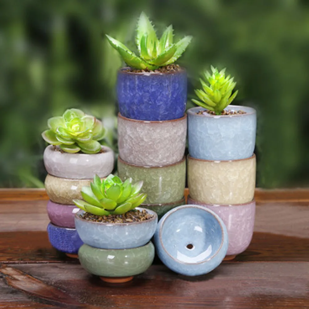 1 piece (6x6x3cm please look at the size, very cute little more meat pots ) Binglie ceramic pots colorful mini fleshy pots
1 piece (6x6x3cm please look at the size, very cute little more meat pots ) Binglie ceramic pots colorful mini fleshy pots