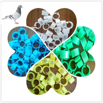 Newest design gold ring designs for pigeon parrot bird pet colorful ring for promotion
Newest design gold ring designs for pigeon parrot bird pet colorful ring for promotion