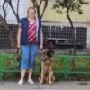 Лого пользователя v***s