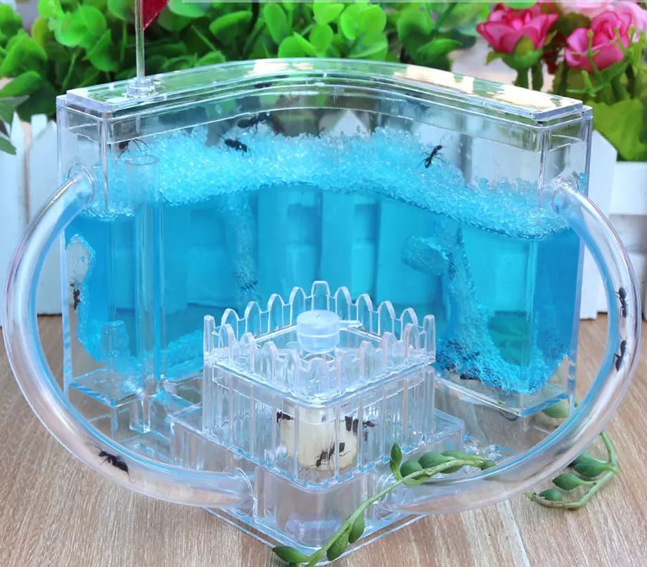 Acrylic Gel DIY Ant Farm Big Space LED Ant Nest With Two Tubes No Feeding Workshop Moisture Area Ant Villa For Pet Insect Mania
Acrylic Gel DIY Ant Farm Big Space LED Ant Nest With Two Tubes No Feeding Workshop Moisture Area Ant Villa For Pet Insect Mania