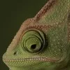 Лого пользователя E***n