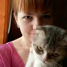Лого пользователя e***o
