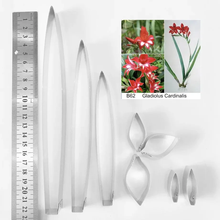 Gladiolus Cardinalis Full Set Cutters,sugar flower mold, fondant cutter, Clay tools,Clay flower cutters,sugarflower cuttingknife
Gladiolus Cardinalis Full Set Cutters,sugar flower mold, fondant cutter, Clay tools,Clay flower cutters,sugarflower cuttingknife