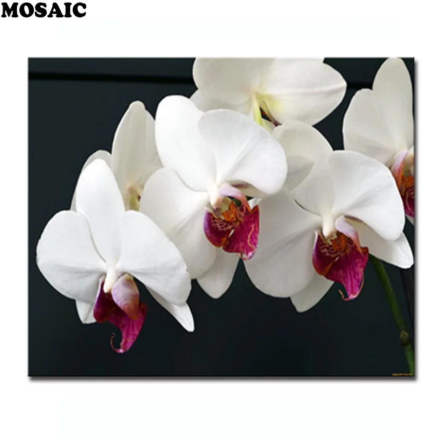 diy art diamond Painting needlework Square drill 5d Cross Stitch diamond embroidery orchid flower Rhinestone home decor painting
diy art diamond Painting needlework Square drill 5d Cross Stitch diamond embroidery orchid flower Rhinestone home decor painting