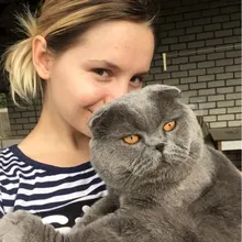 Лого пользователя V***a