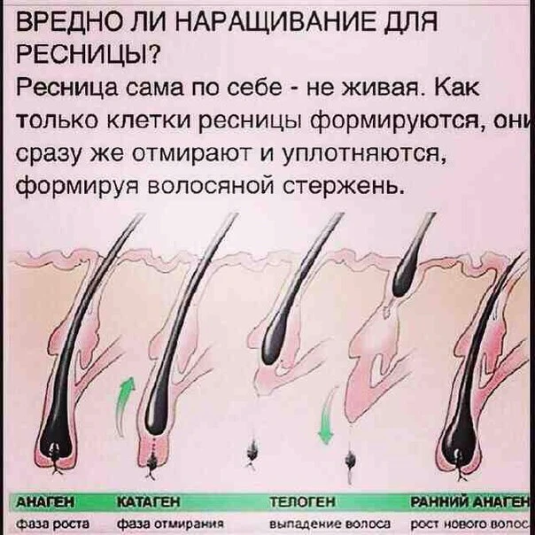 Отношения человека с абсолютом Отношения человека с абсолютом