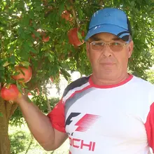 Лого пользователя Y***V